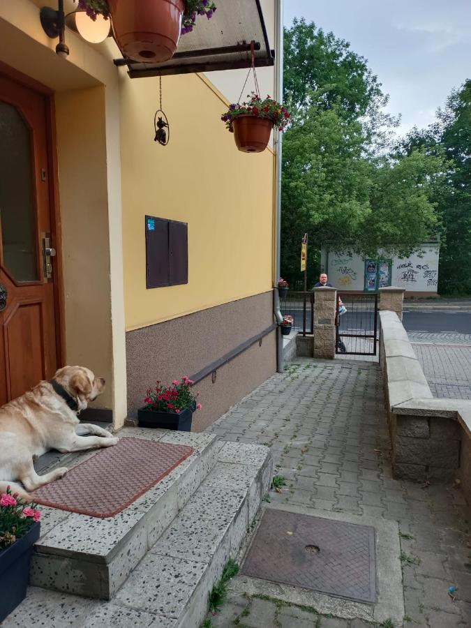 Msprivat Hotel Karlsbad Eksteriør billede